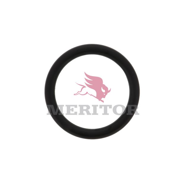 5X1198 photo front 32158