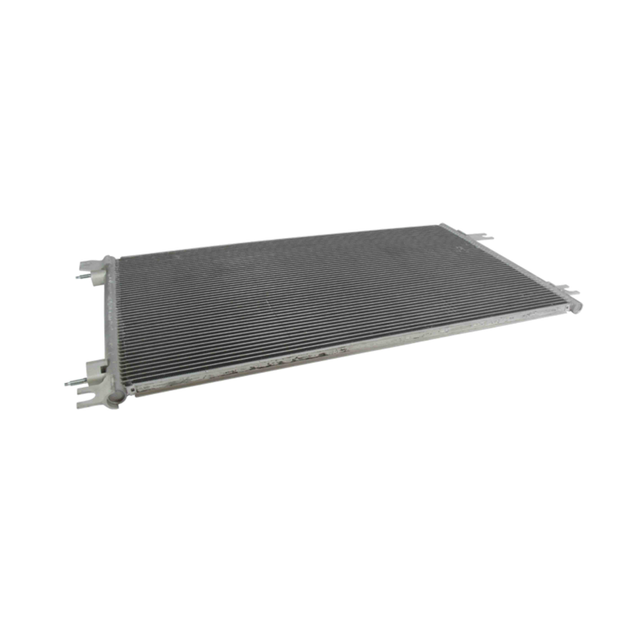 S-25621 v1