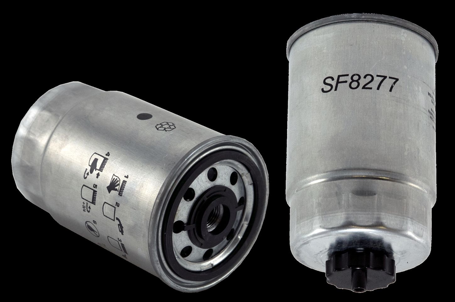 WF8277.jpg
