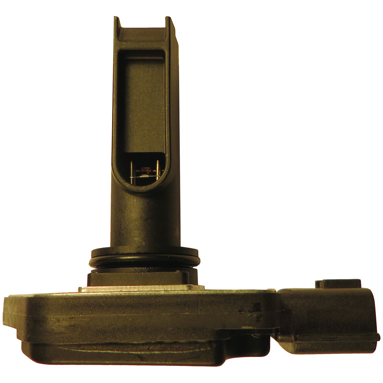 MAF10134 SID