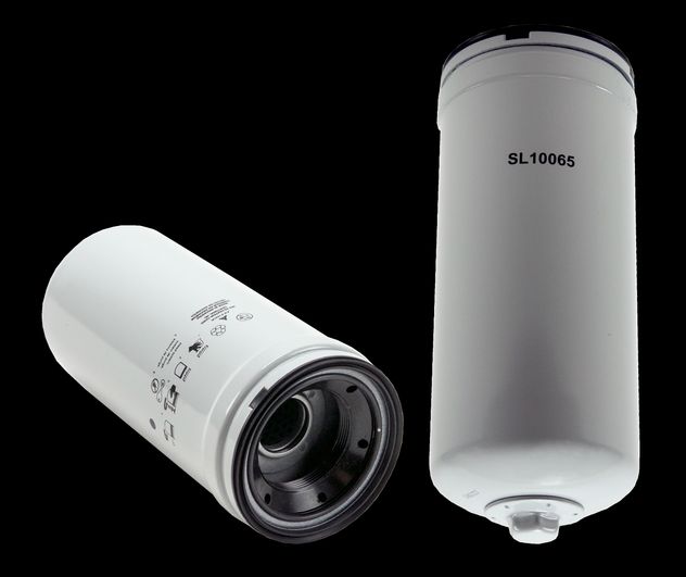 WL10065.jpg