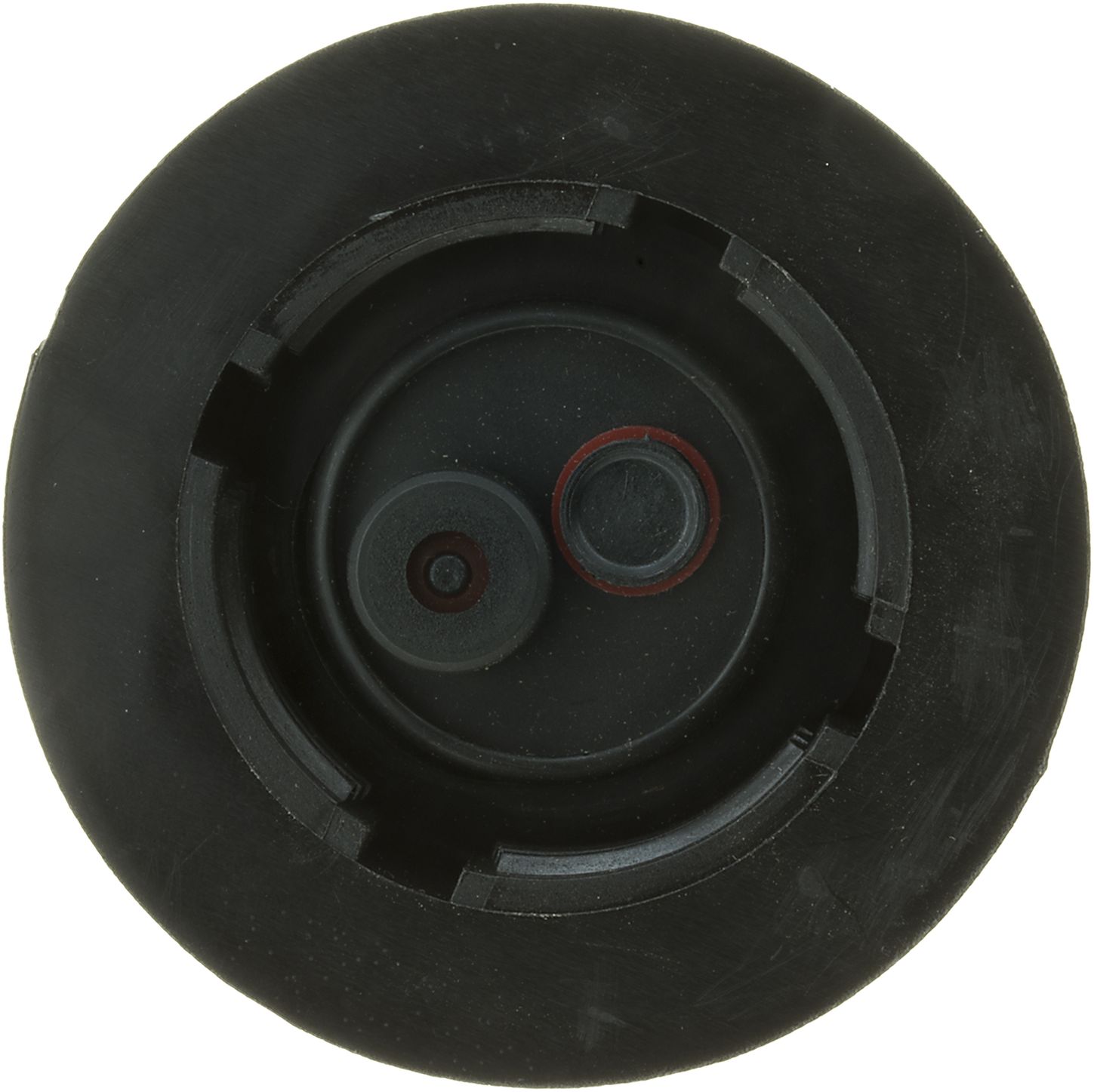 31547-3_BOT_A.jpg