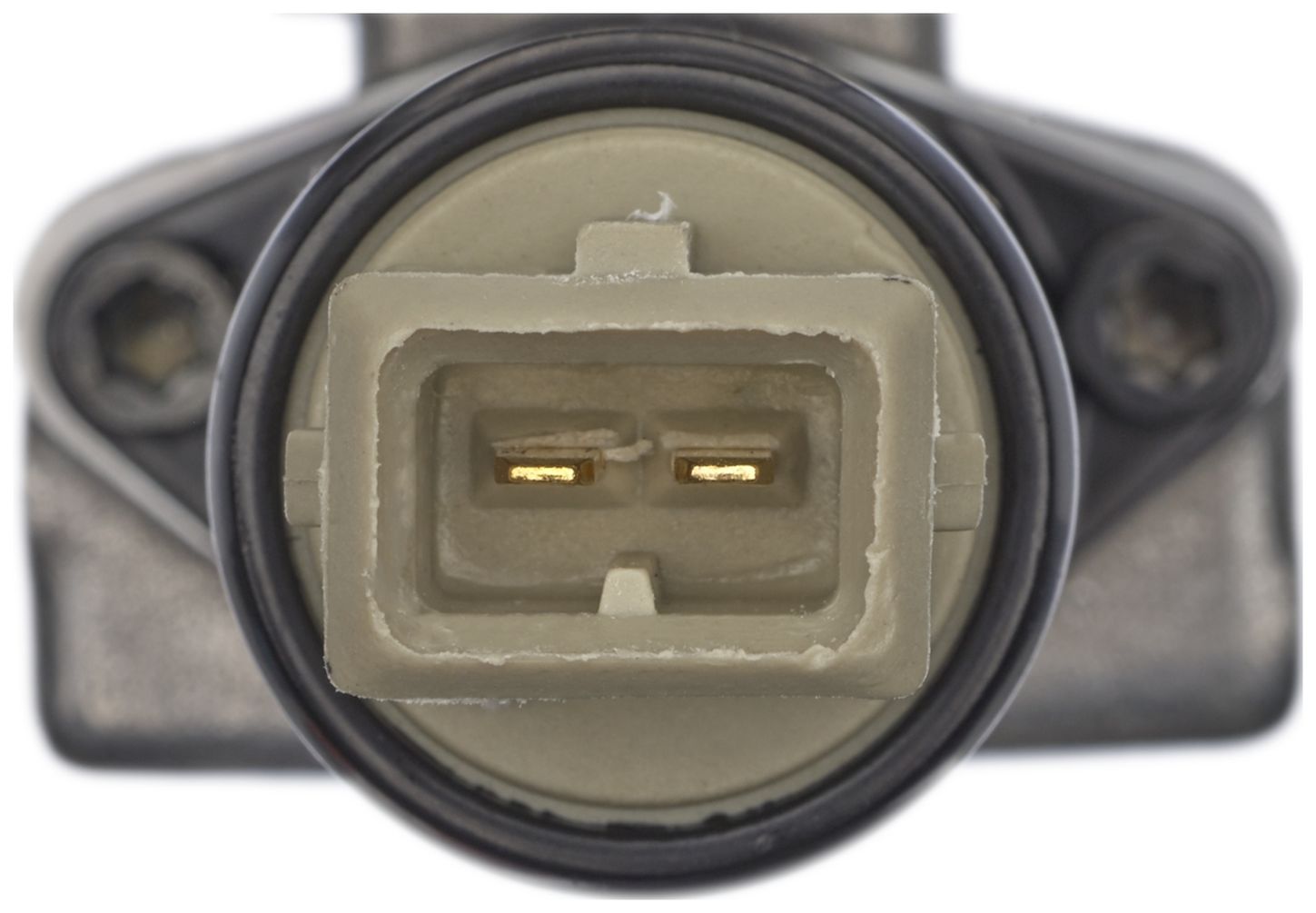 VVS236-3_CON_A.jpg