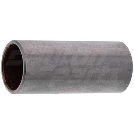 RNI-BM-1