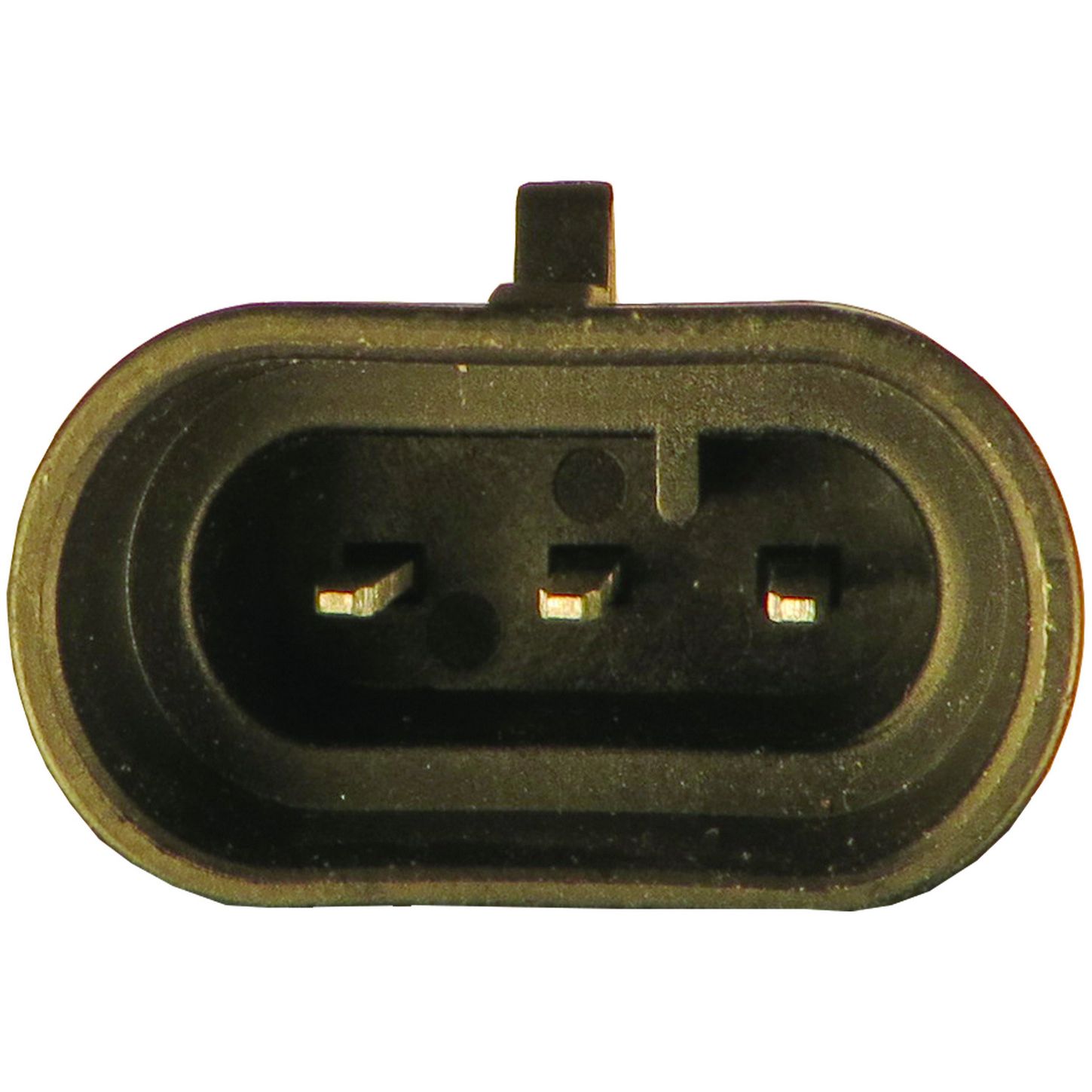 MAF10242 5