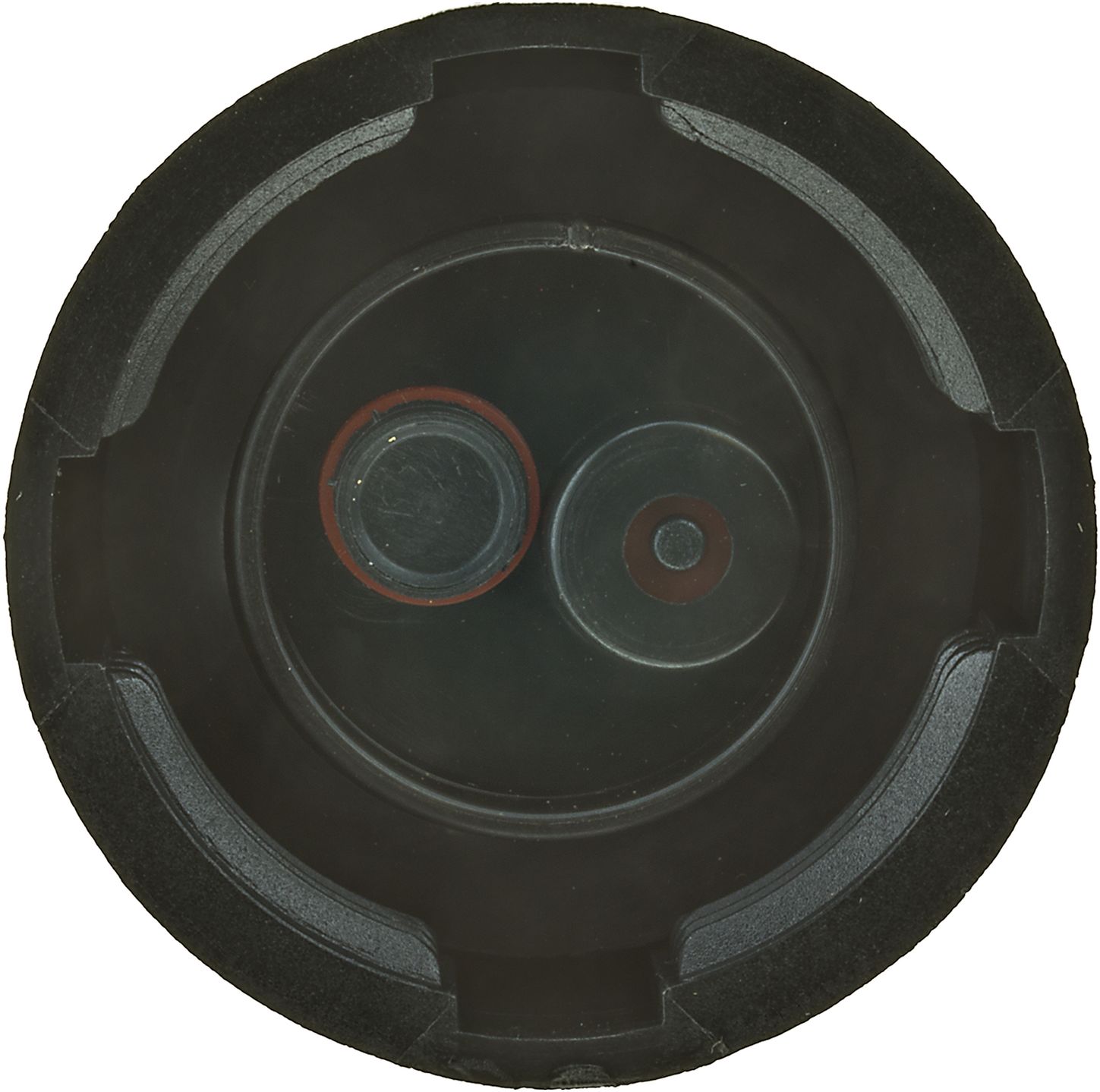31335-3_BOT_A.jpg