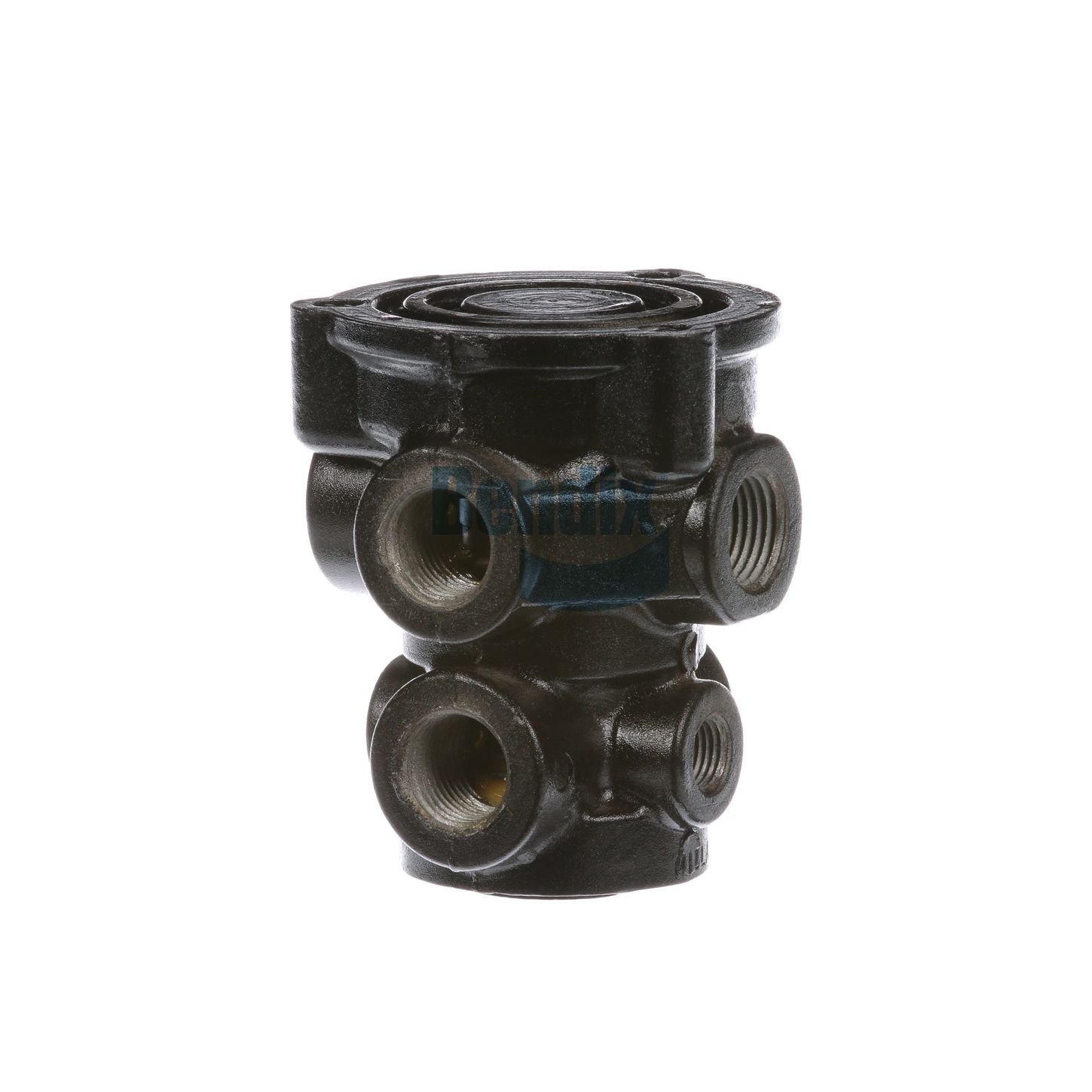 KN22100X.jpg