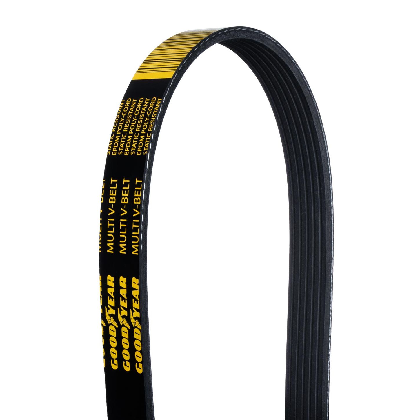 6PK-Close-Up-Belt-Backside
