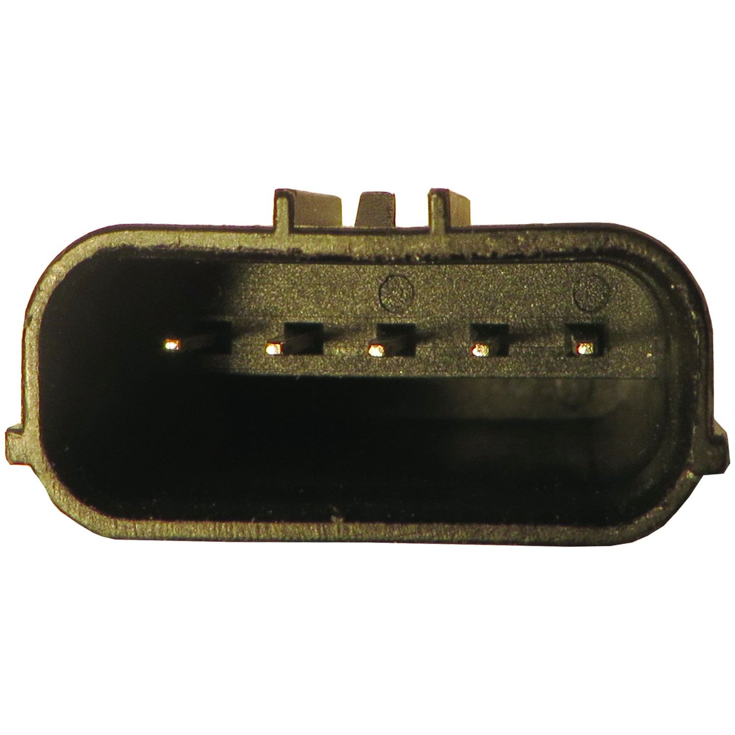 MAF10145 5