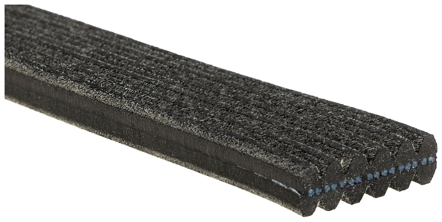 serpentine-beltimage-DK060470-DK060504-DK060519.jpg