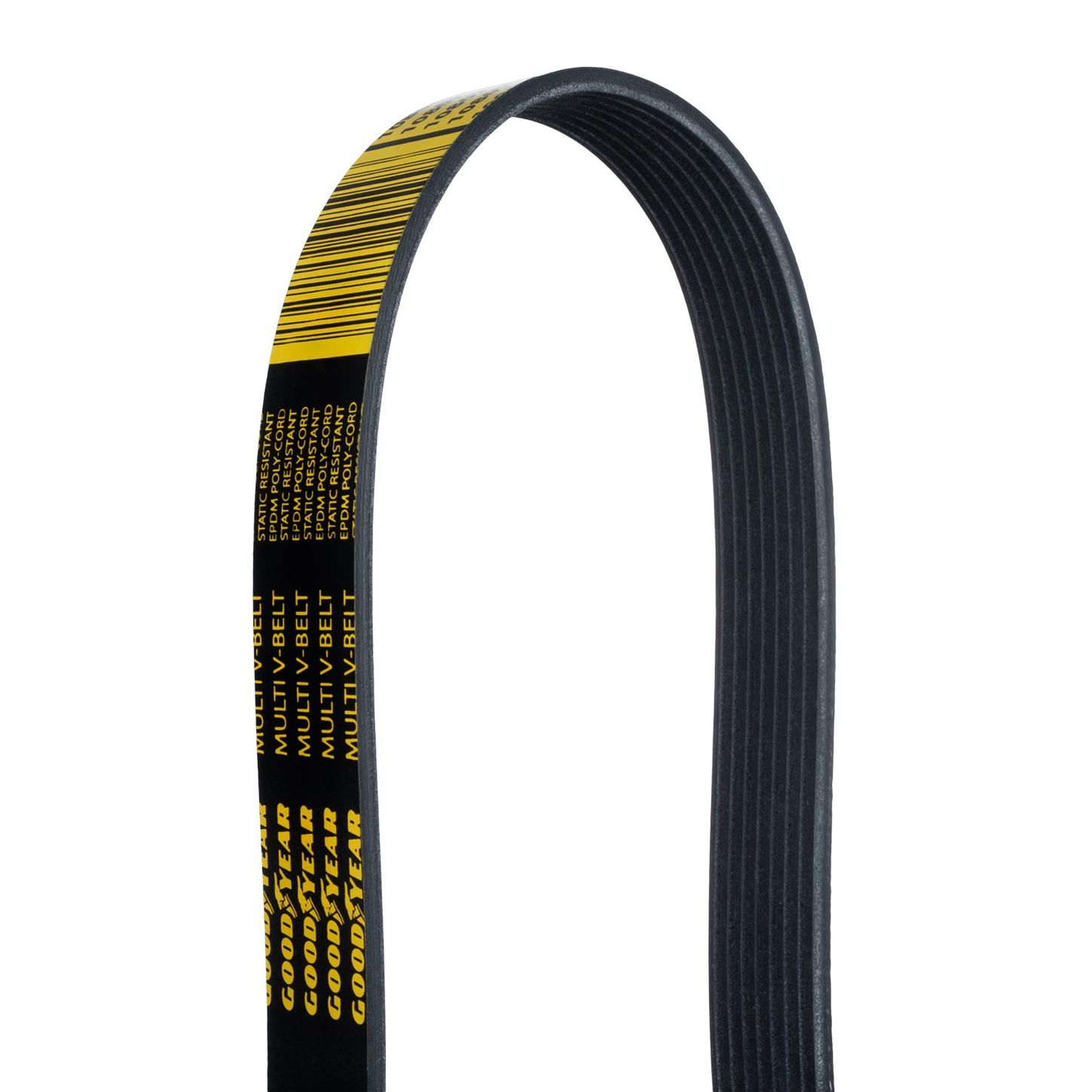 8PK-Close-Up-Belt-Backside-2