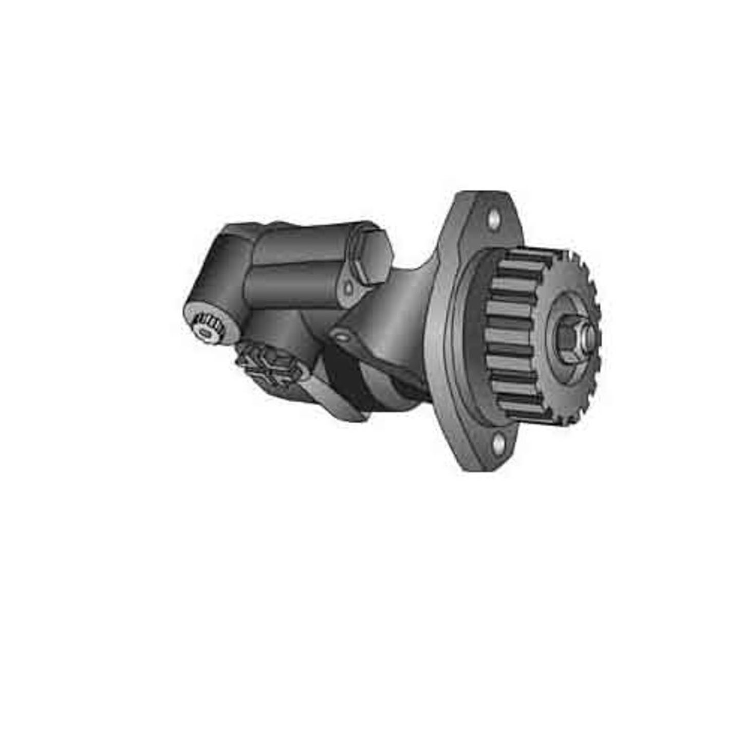 RP11001X.jpg