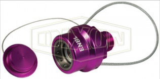 ENBL-P4