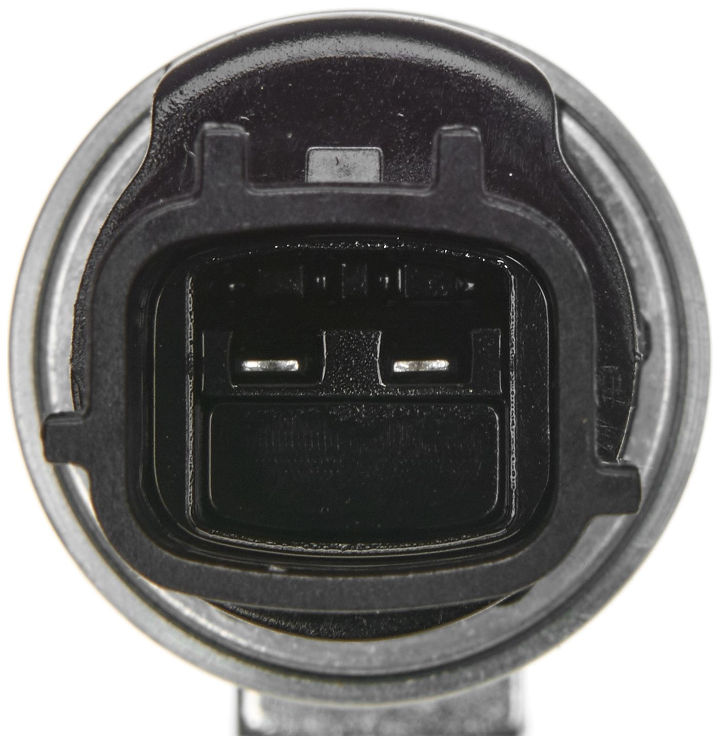 VVS247-3_CON_A.jpg