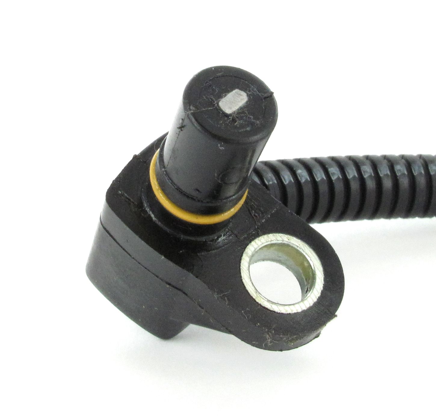 SC285_3.JPG