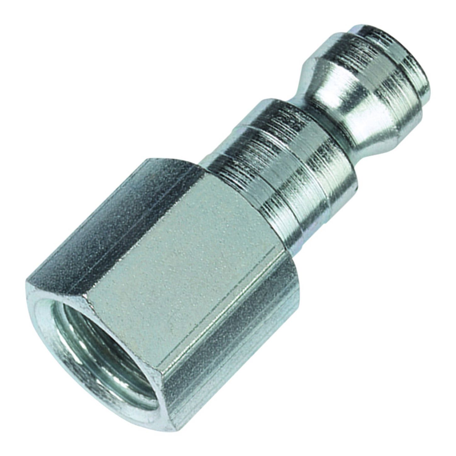 AMFLCP624_1_x-large.jpg