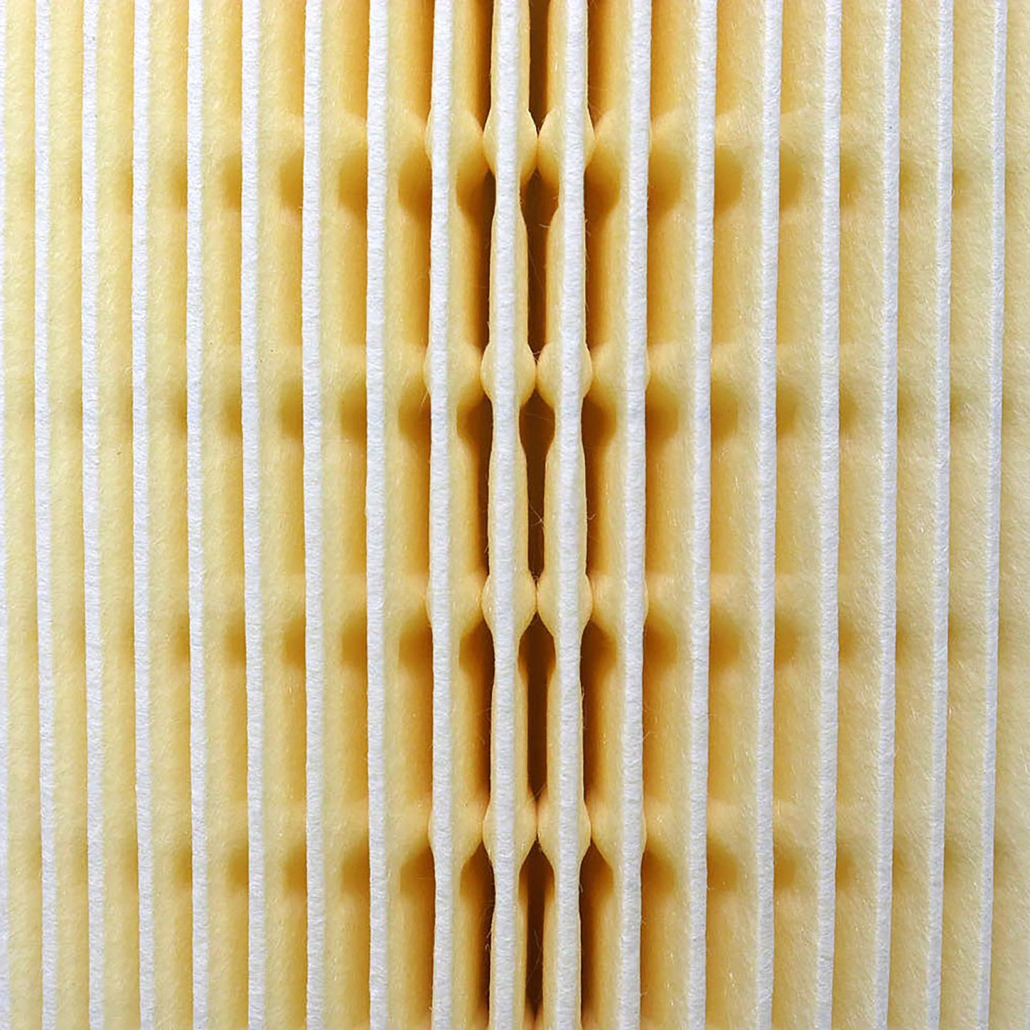 PRIMPAF8213 3