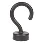 BAY2135-HOOK