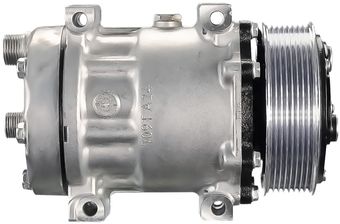 54404