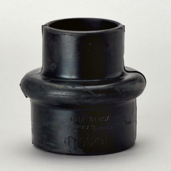 p101291.jpg