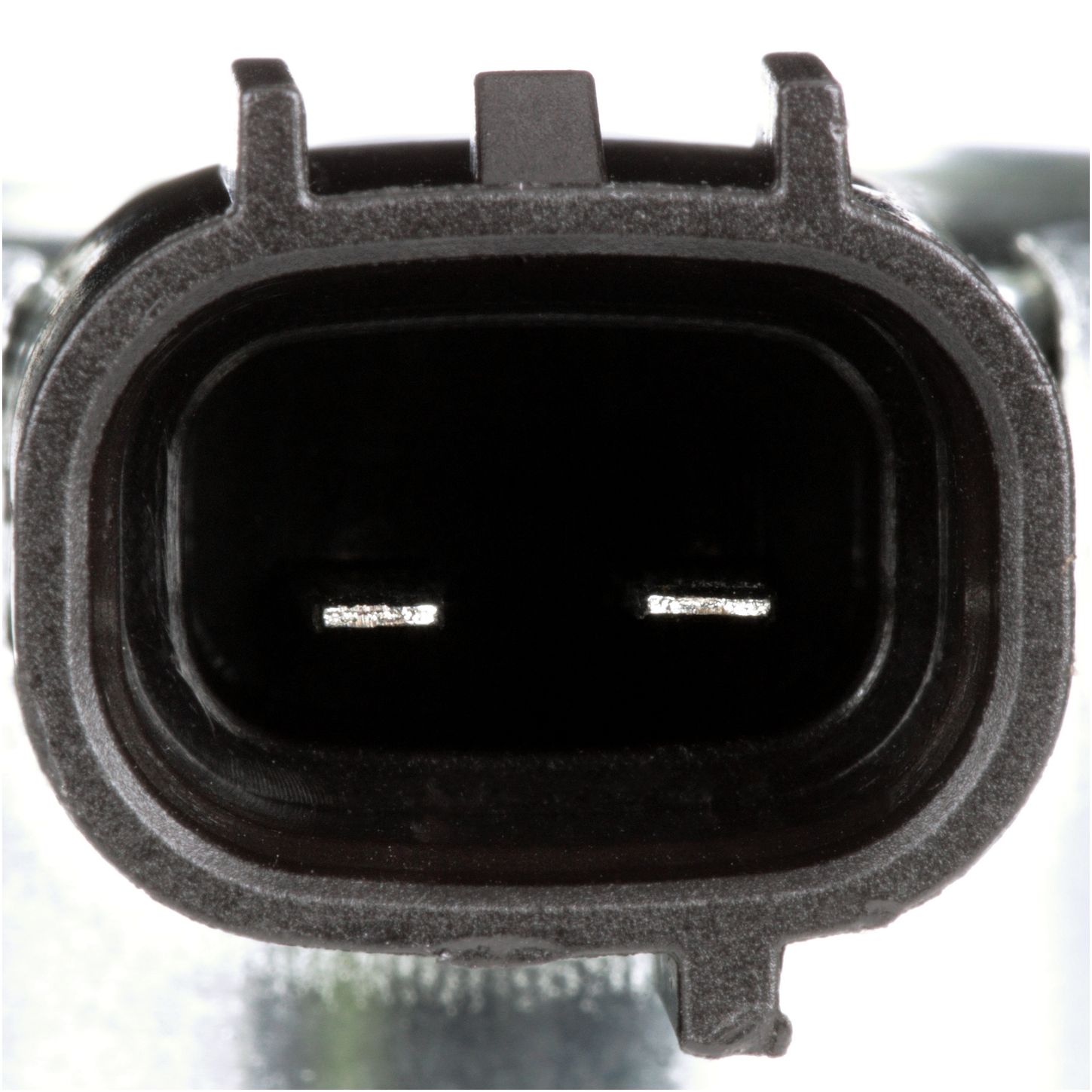 VVS356-3_CON_A.jpg
