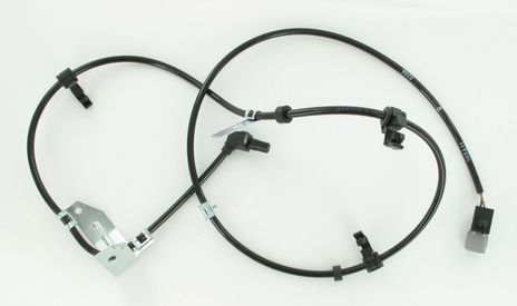 SC492_1.JPG