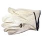 SAS6468
