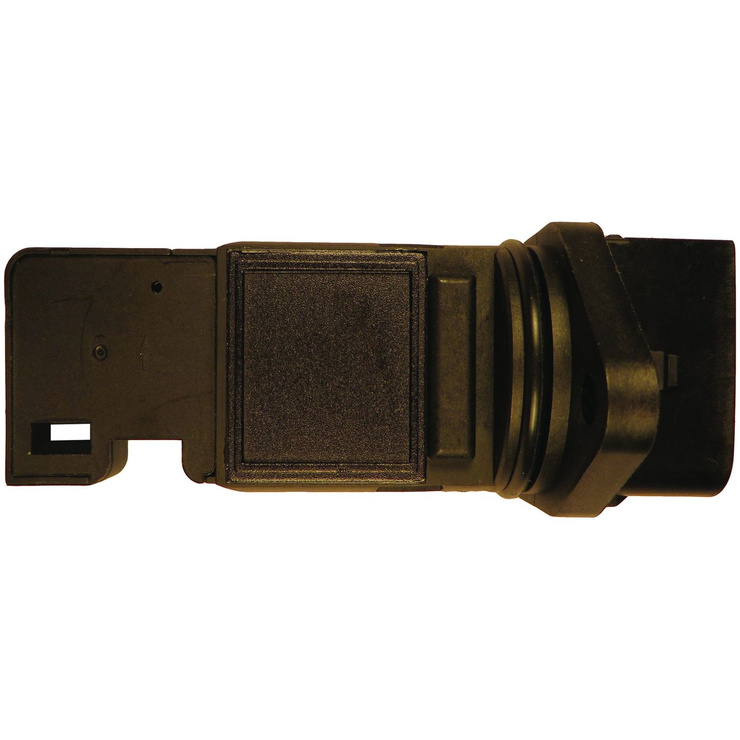 MAF10156 BAC