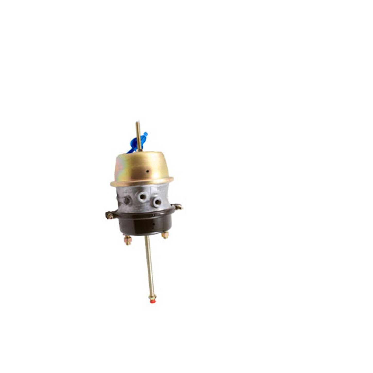 GC2424L.jpg