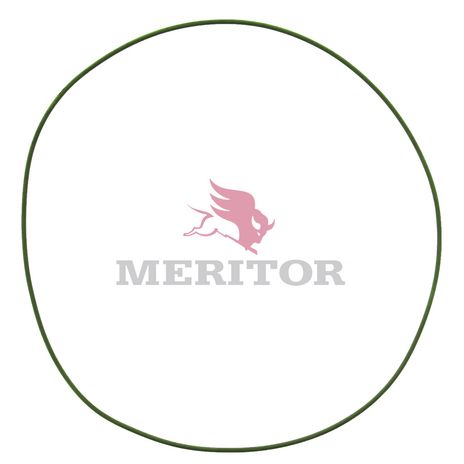 982108 photo front 40173