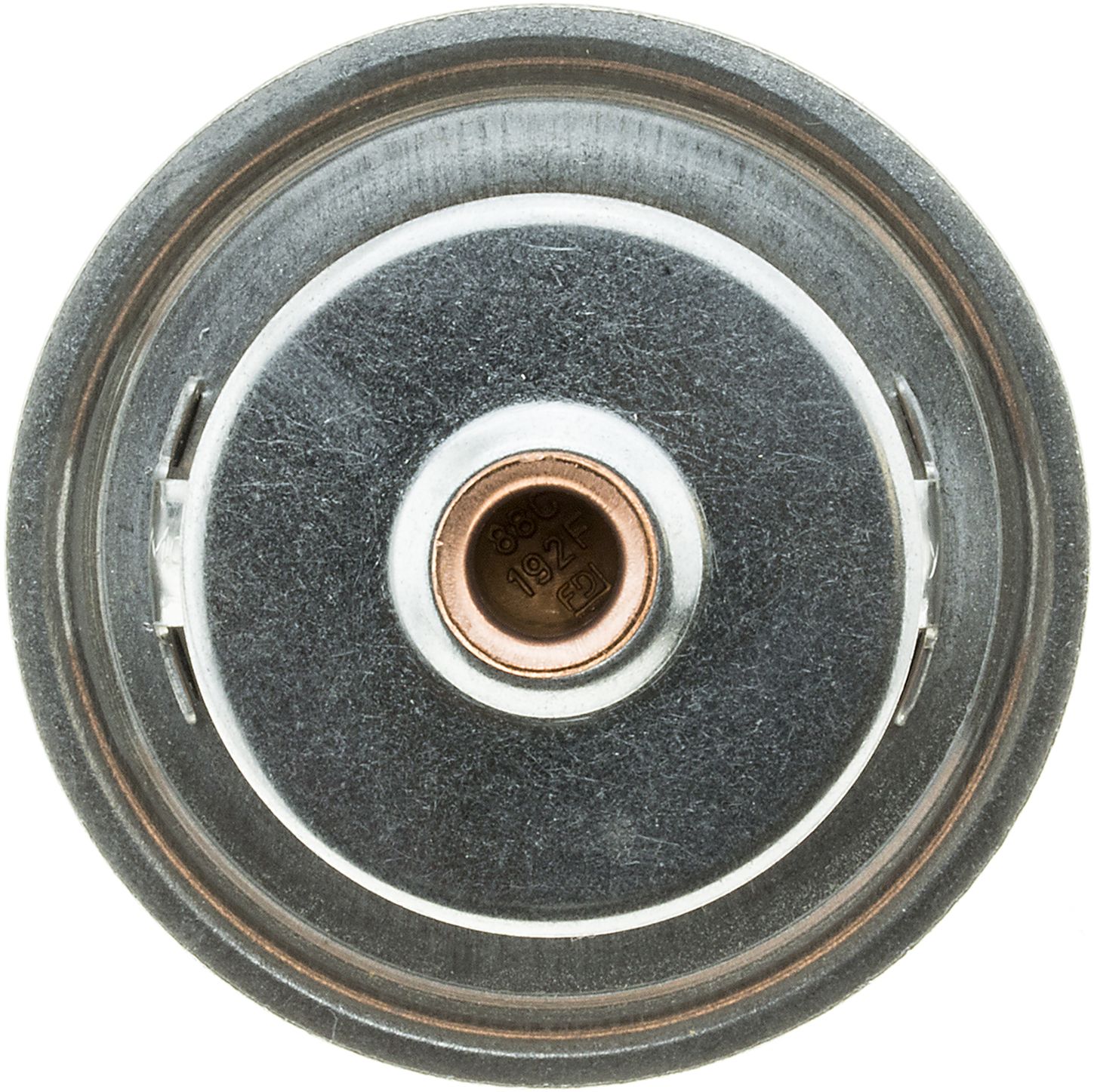 33979-3_BOT_A.jpg