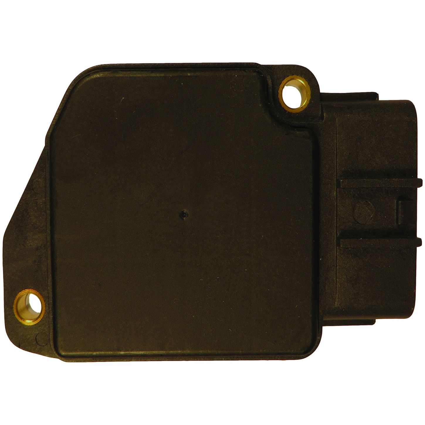 MAF10133 BAC