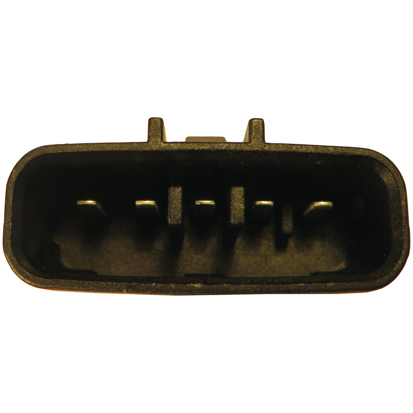 MAF10133 5