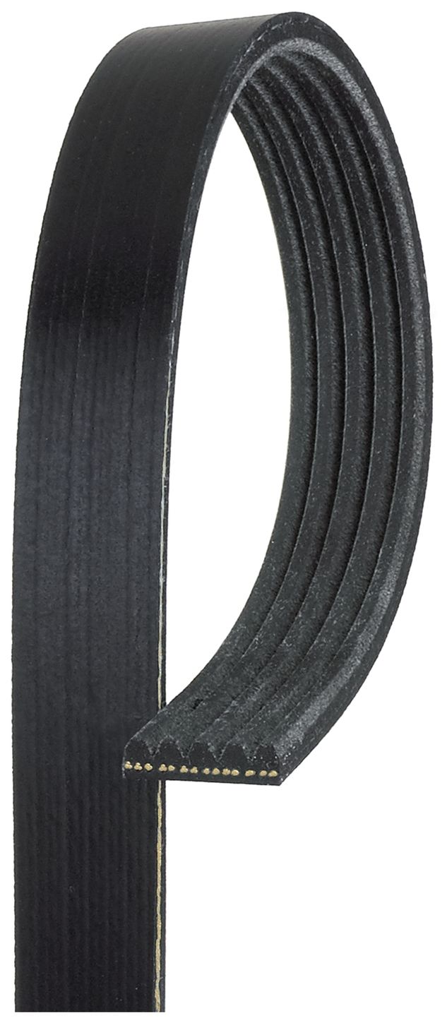accessory-drive-beltimage-6930BR-6931BR-7020BR.jpg