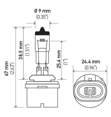 H71071232.PT01.jpg