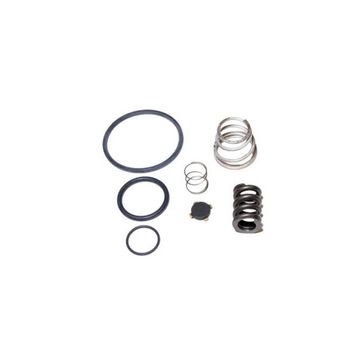 a/c-service-valve-repair-kit-RN10GJ.jpg