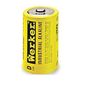 CSUBATDCELL2PK