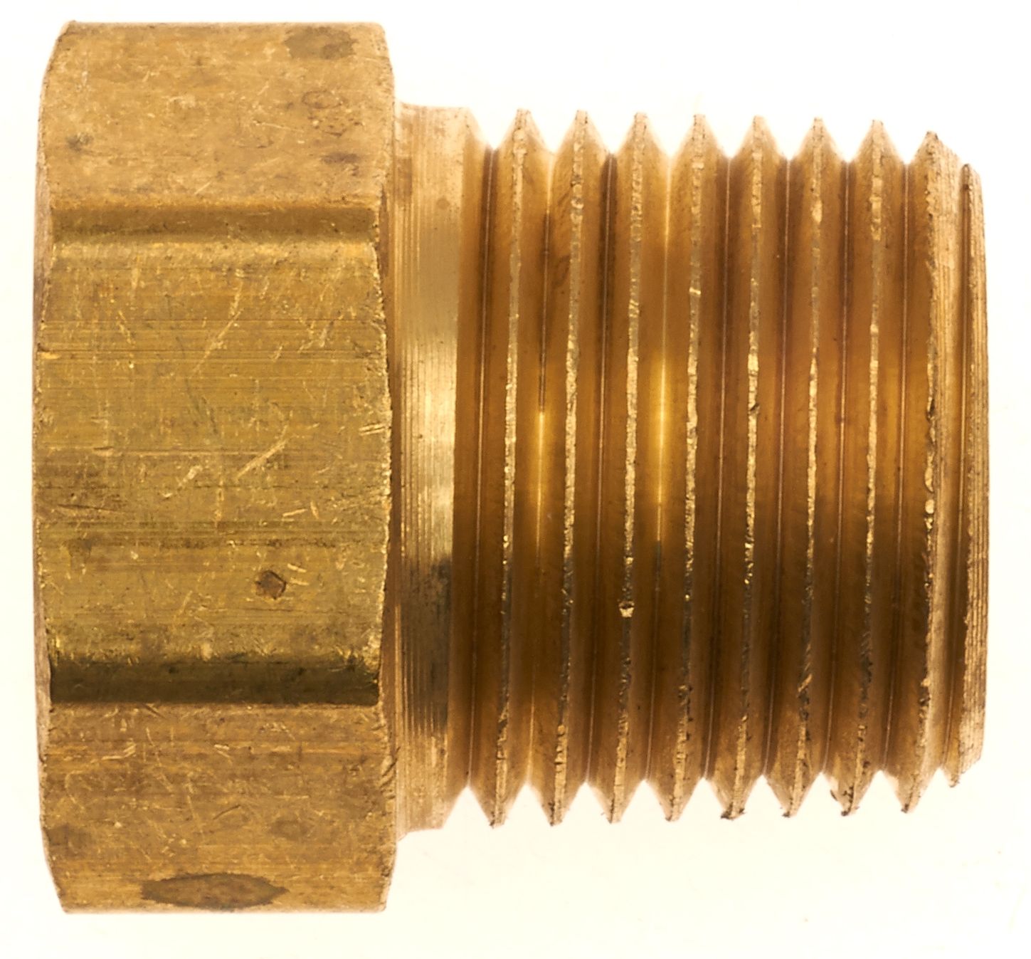 G495060605-2_SID_R.jpg