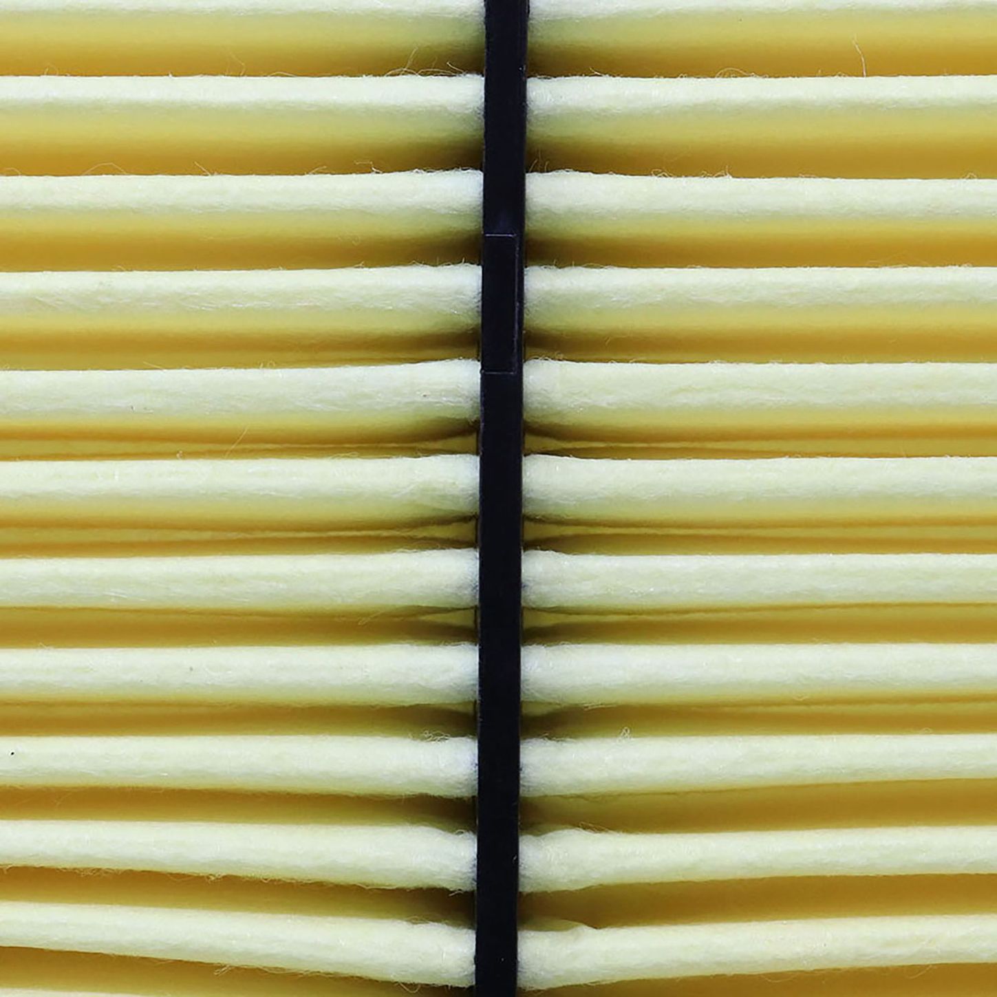 PRIMPAF8169 3