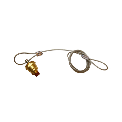 S-22889 v1