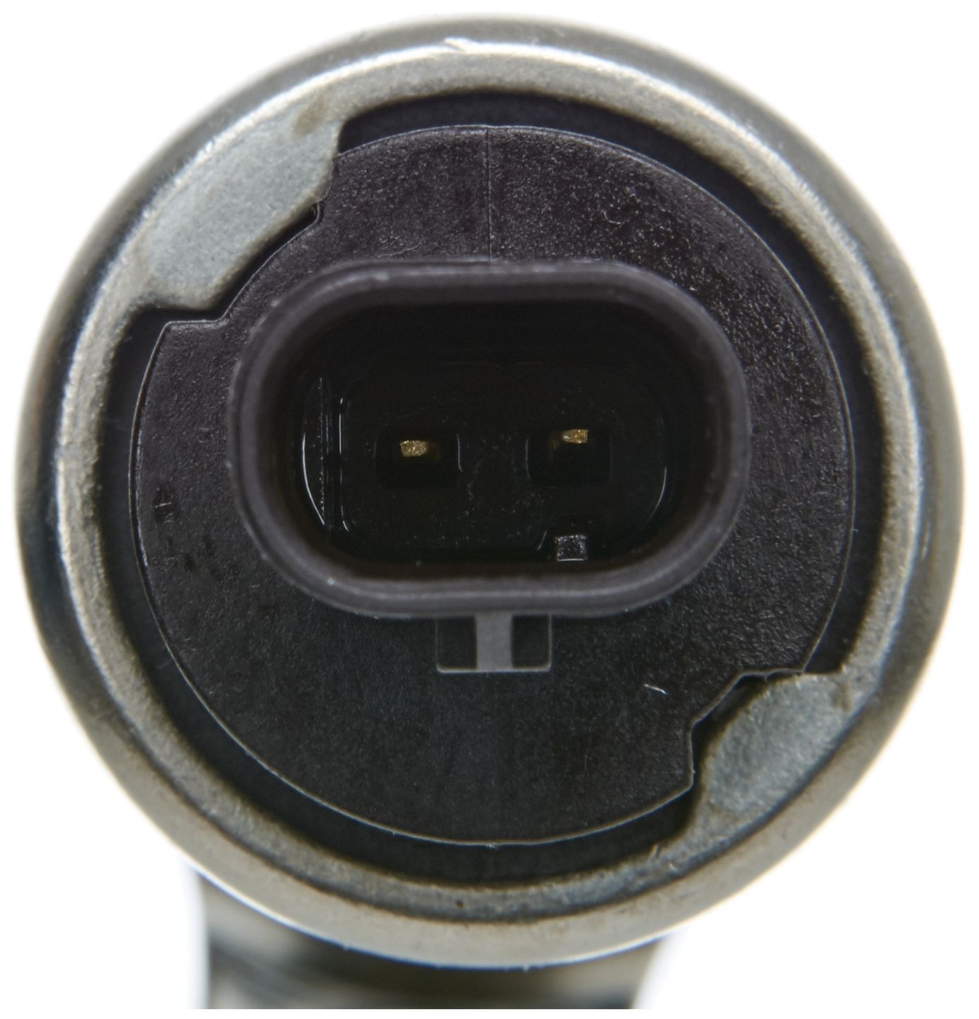 VVS239-3_CON_A.jpg