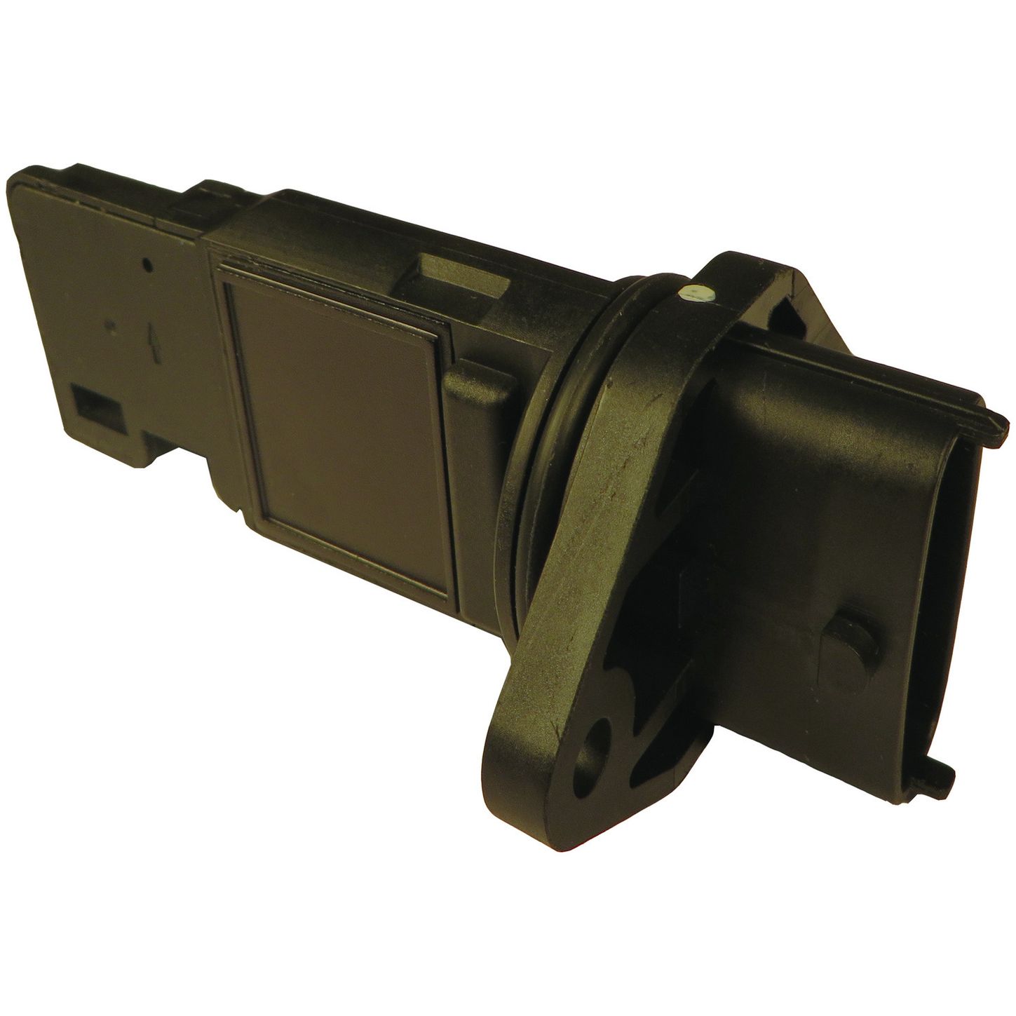 MAF10246 FRO