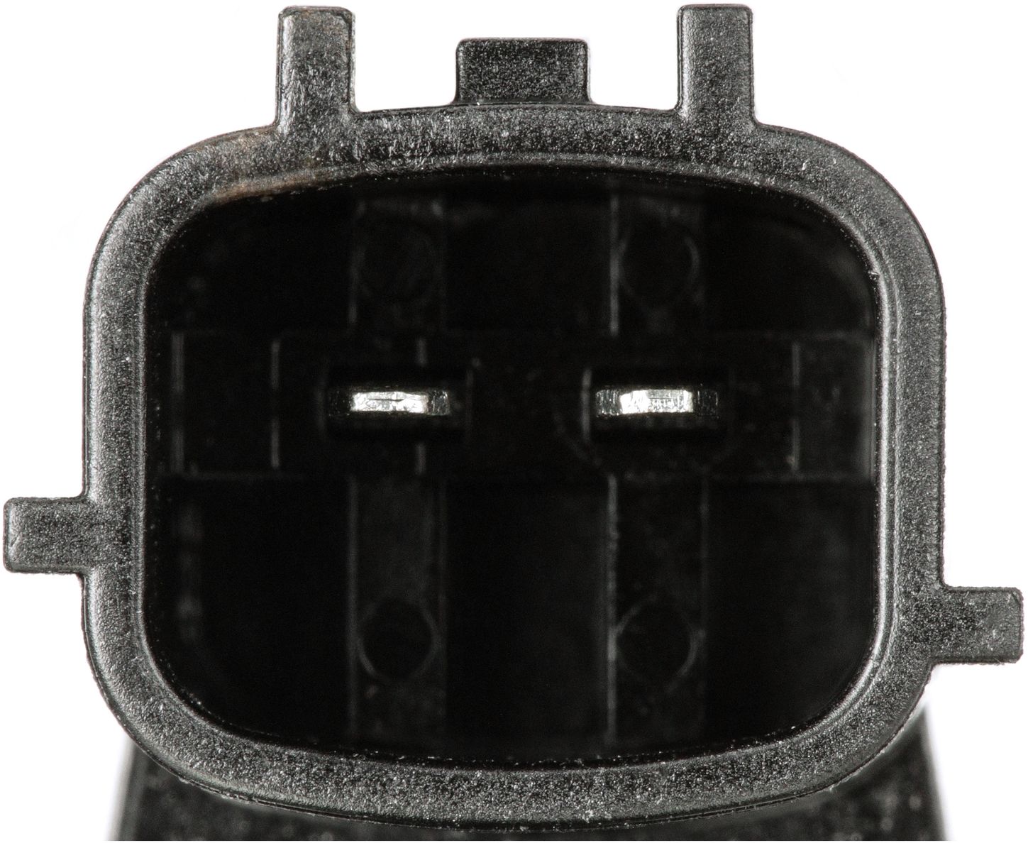 VVS299-4_CON_A.jpg
