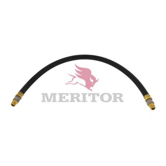R95550732BK