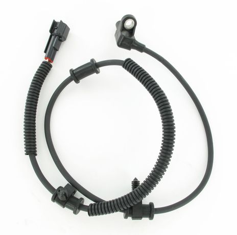 SC808_1.JPG