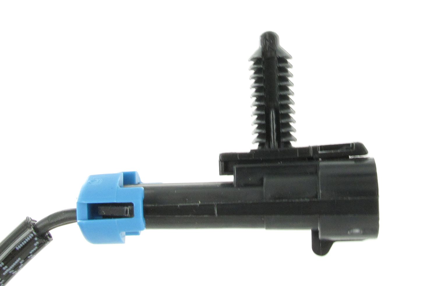 SC307_3.JPG