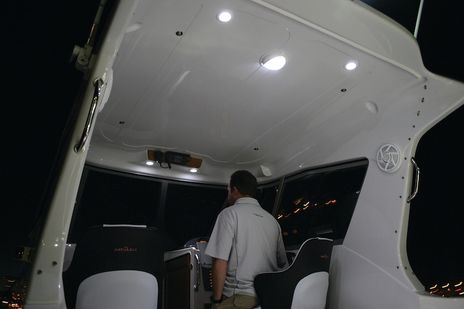 980500541.PT30.jpg