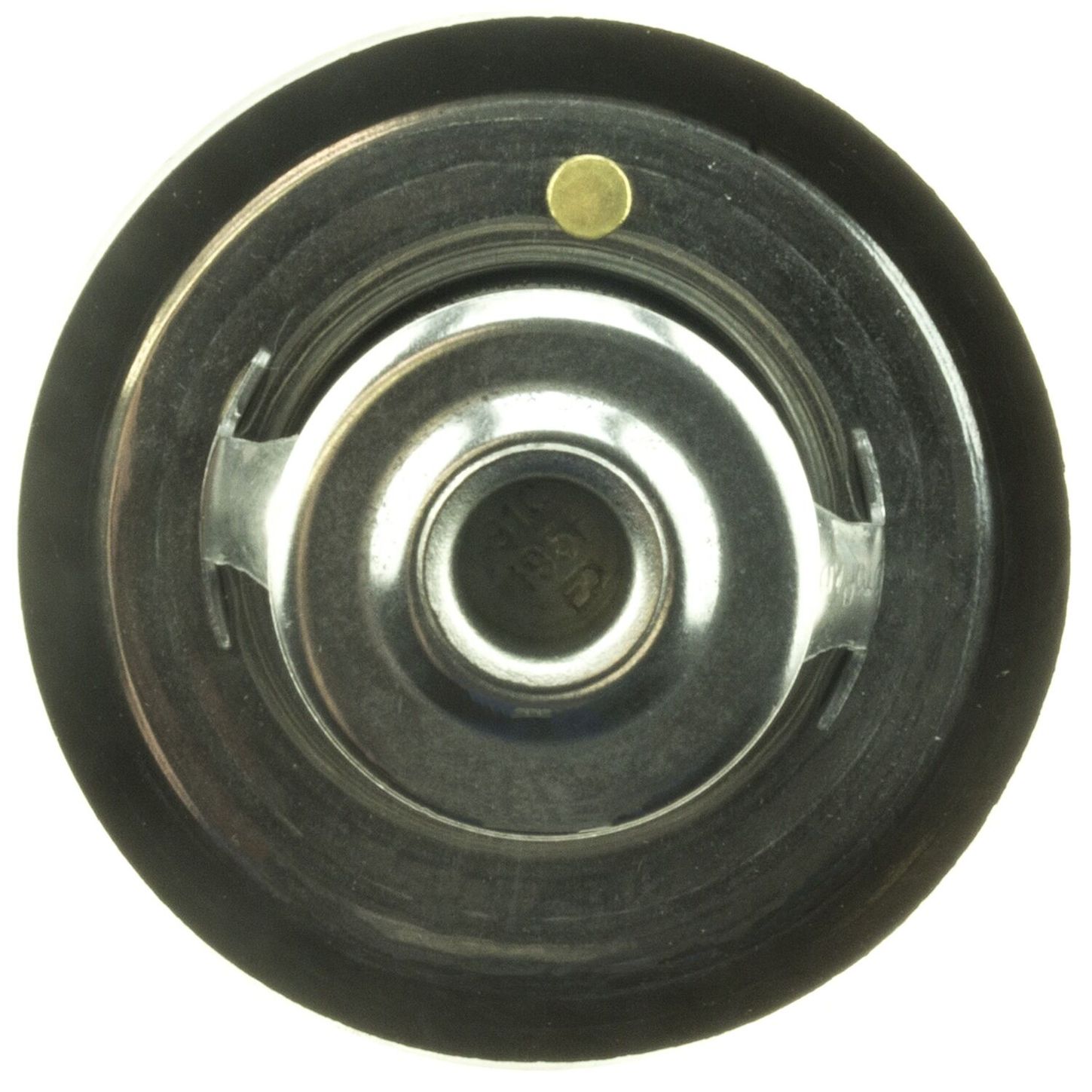 MOTR5265195 4