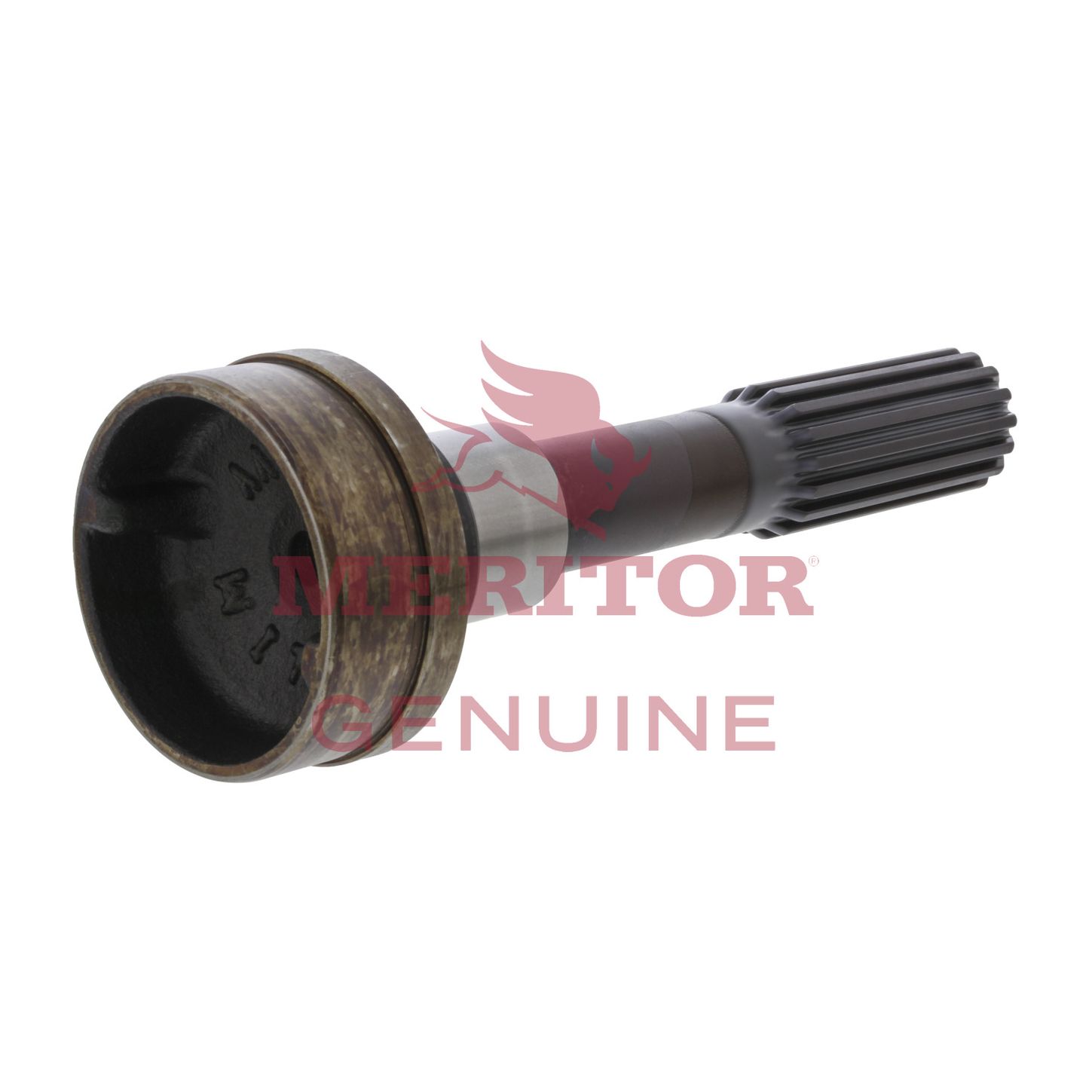 BPS28161