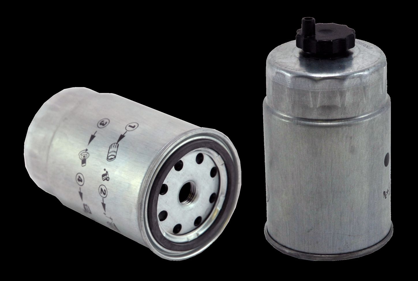 WF8395.jpg